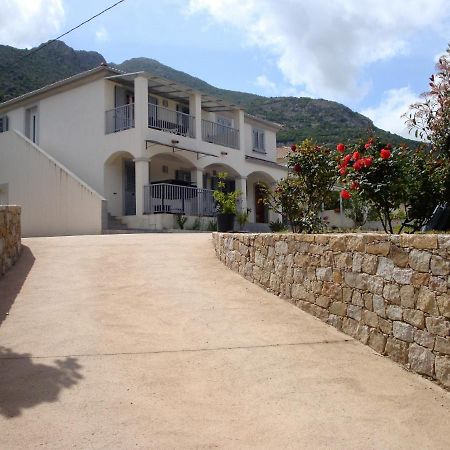 Fior Di Macchia Apartman Galeria  Kültér fotó